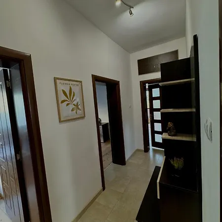 Spot *